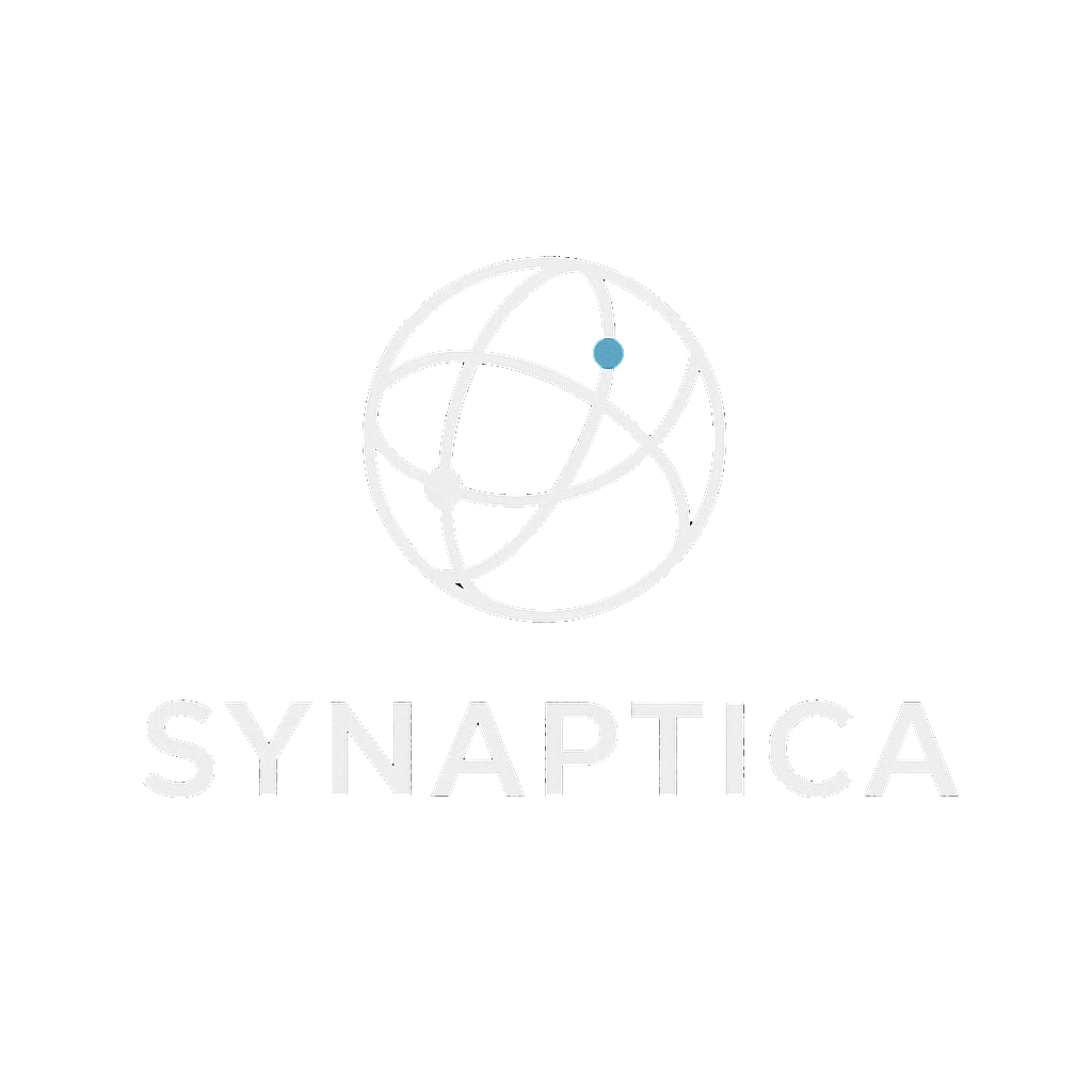 Synaptica Solutions